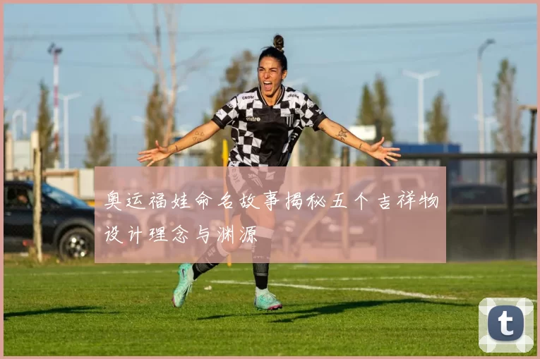 奥运福娃命名故事揭秘五个吉祥物设计理念与渊源