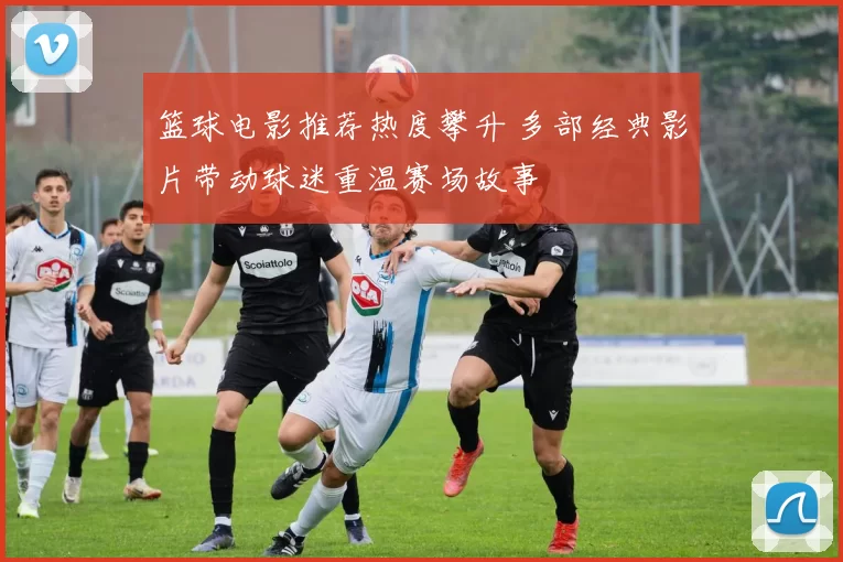 篮球电影推荐热度攀升 多部经典影片带动球迷重温赛场故事