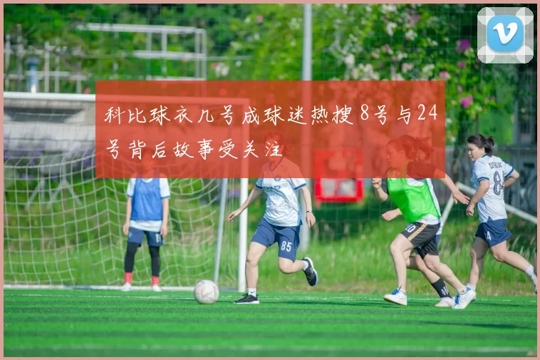 科比球衣几号成球迷热搜 8号与24号背后故事受关注