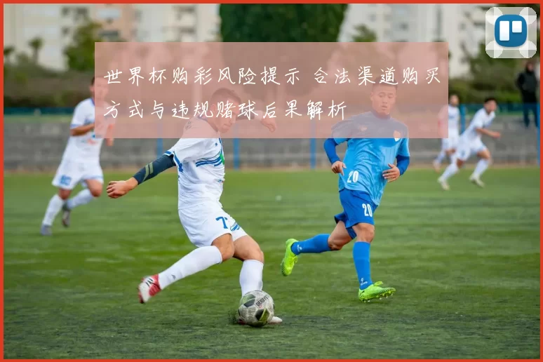 世界杯购彩风险提示 合法渠道购买方式与违规赌球后果解析